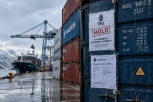 Genuine Bearings for Nordic Sawmill Upgrade: Wholesale Supplier